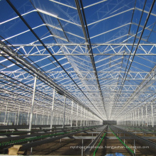 Tempered low Iron greenhouse glass